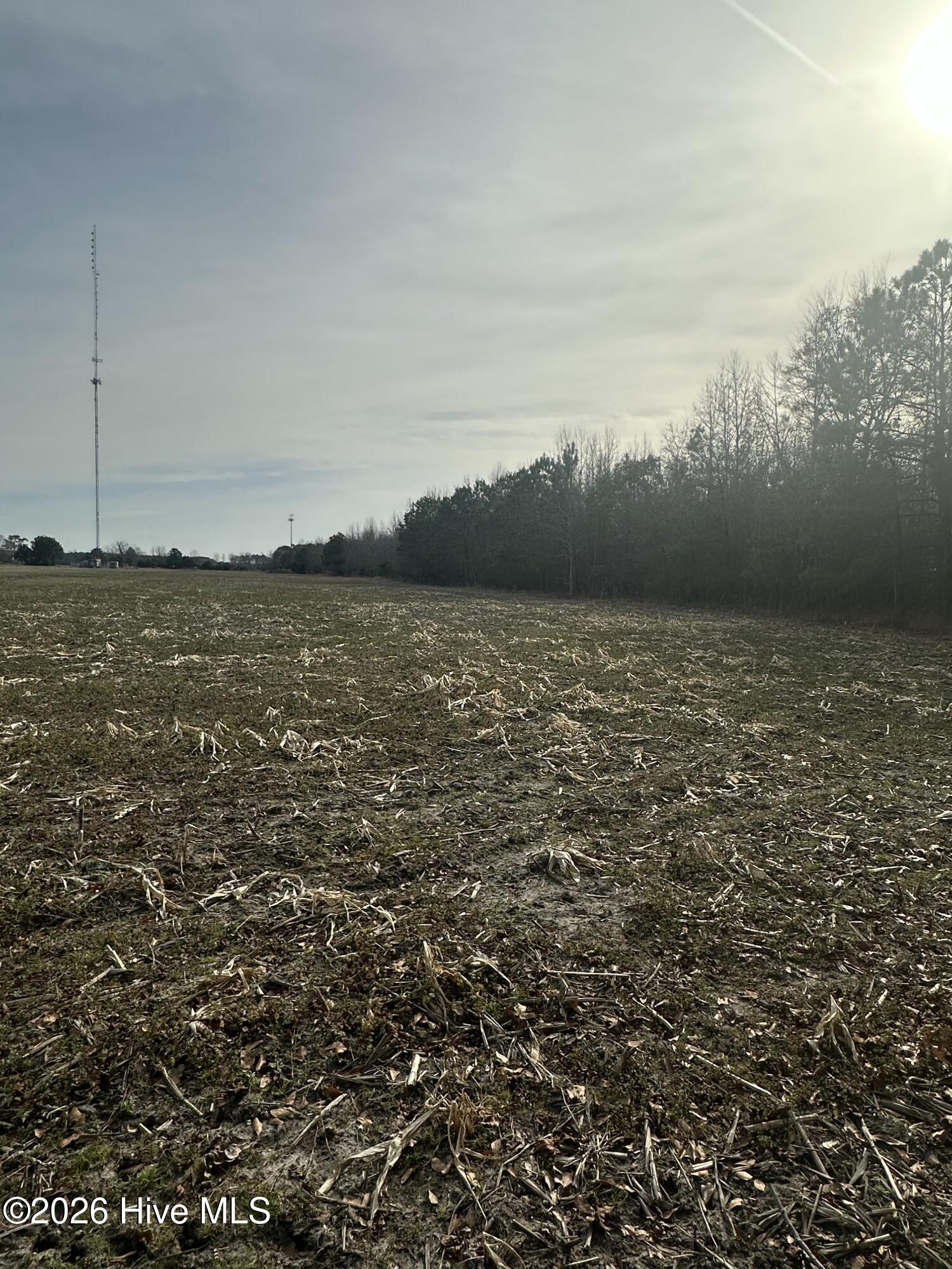 2 Fisher Landing Road Grandy, NC 27939 - Photo 7 of 9 North end facing south
