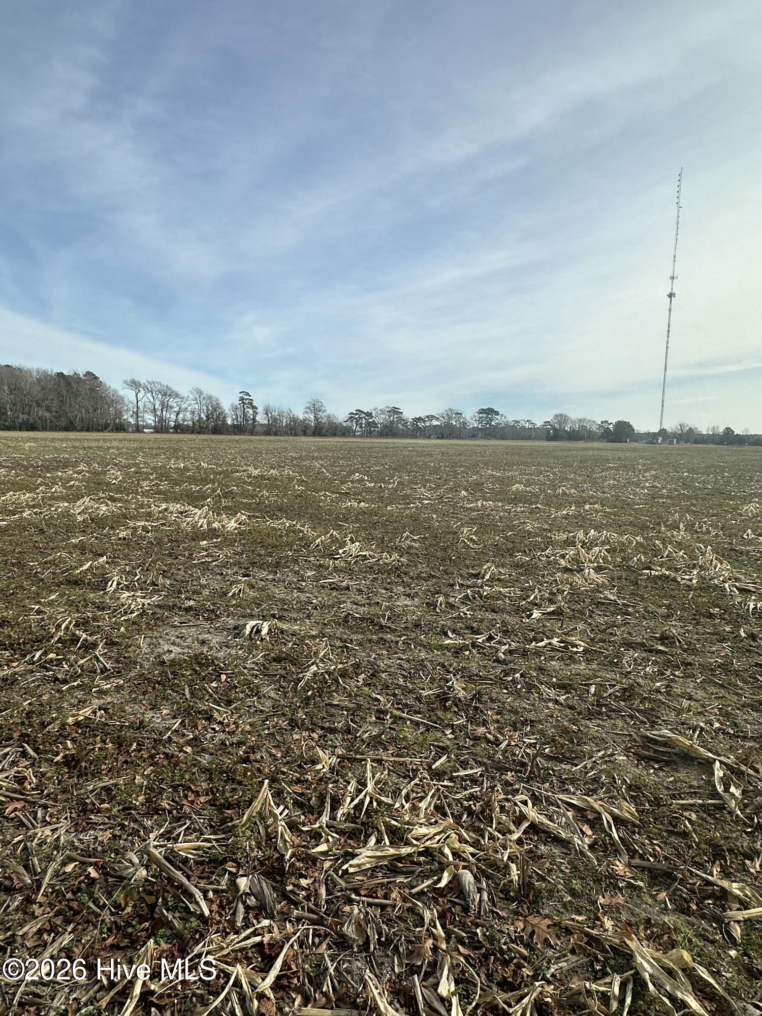 2 Fisher Landing Road Grandy, NC 27939 - Photo 8 of 9 NW corner facing SE