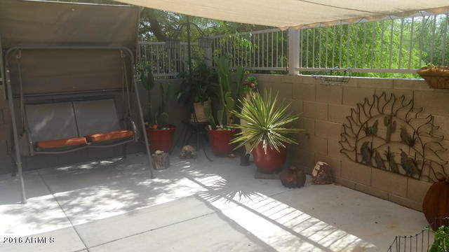 3532 South Chaparral Road Apache Junction, AZ 85119 - Photo 21 of 30 Back Yard
