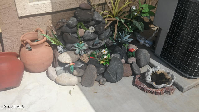 3532 South Chaparral Road Apache Junction, AZ 85119 - Photo 27 of 30 Rock Garden