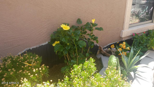 3532 South Chaparral Road Apache Junction, AZ 85119 - Photo 28 of 30 Front Flower Bed