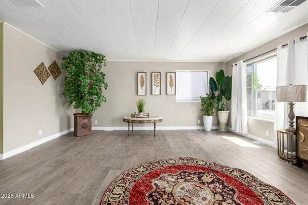 a living room with furniture and a potted plant