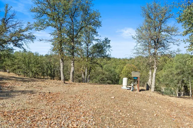 a view of a chairs and table in the backyard