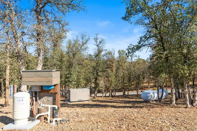a view of a backyard with a large tree