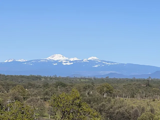 a view of city and ocean