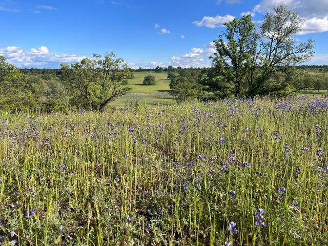 $574,900 | 18720 Cobblestone Drive, Cottonwood, CA 96022