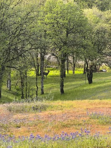 $574,900 | 18720 Cobblestone Drive, Cottonwood, CA 96022