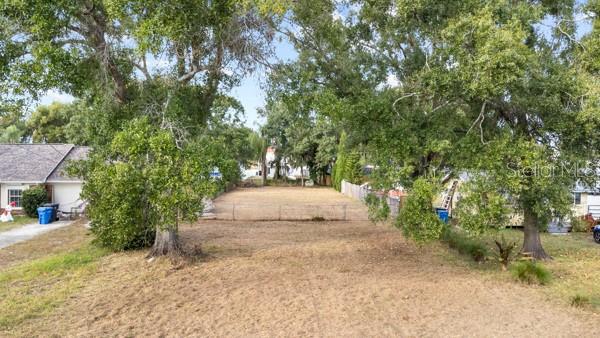 8715 Mayflower Road Tampa, FL 33615 - Photo 5 of 5 a view of a yard with plants and trees