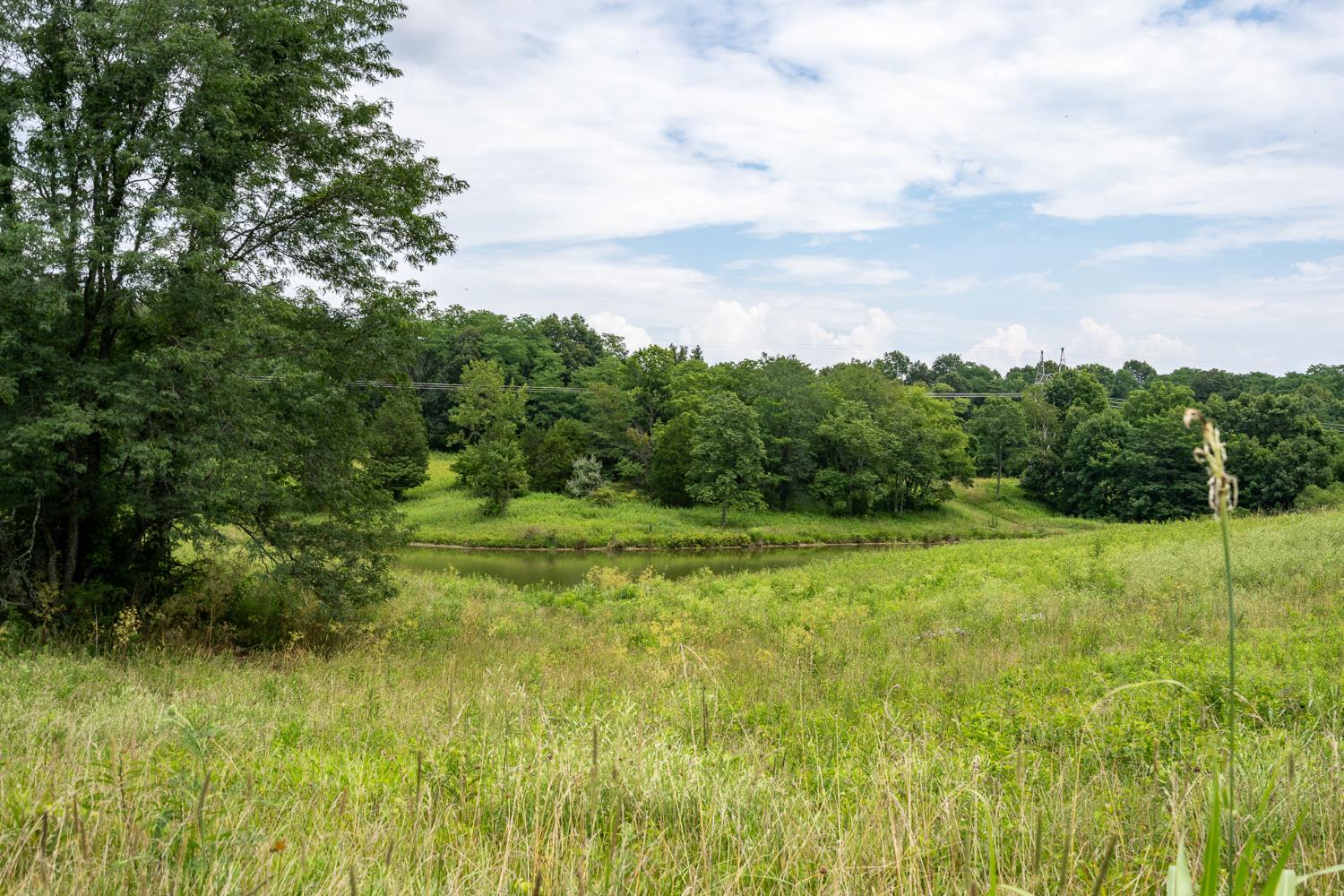 11315 Harlow Road West Bennington, IN 47011 - Photo 45 of 50