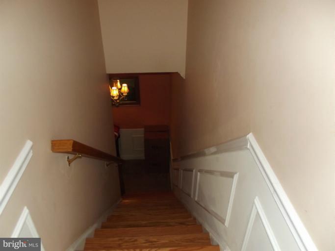 Lower Level Stairs