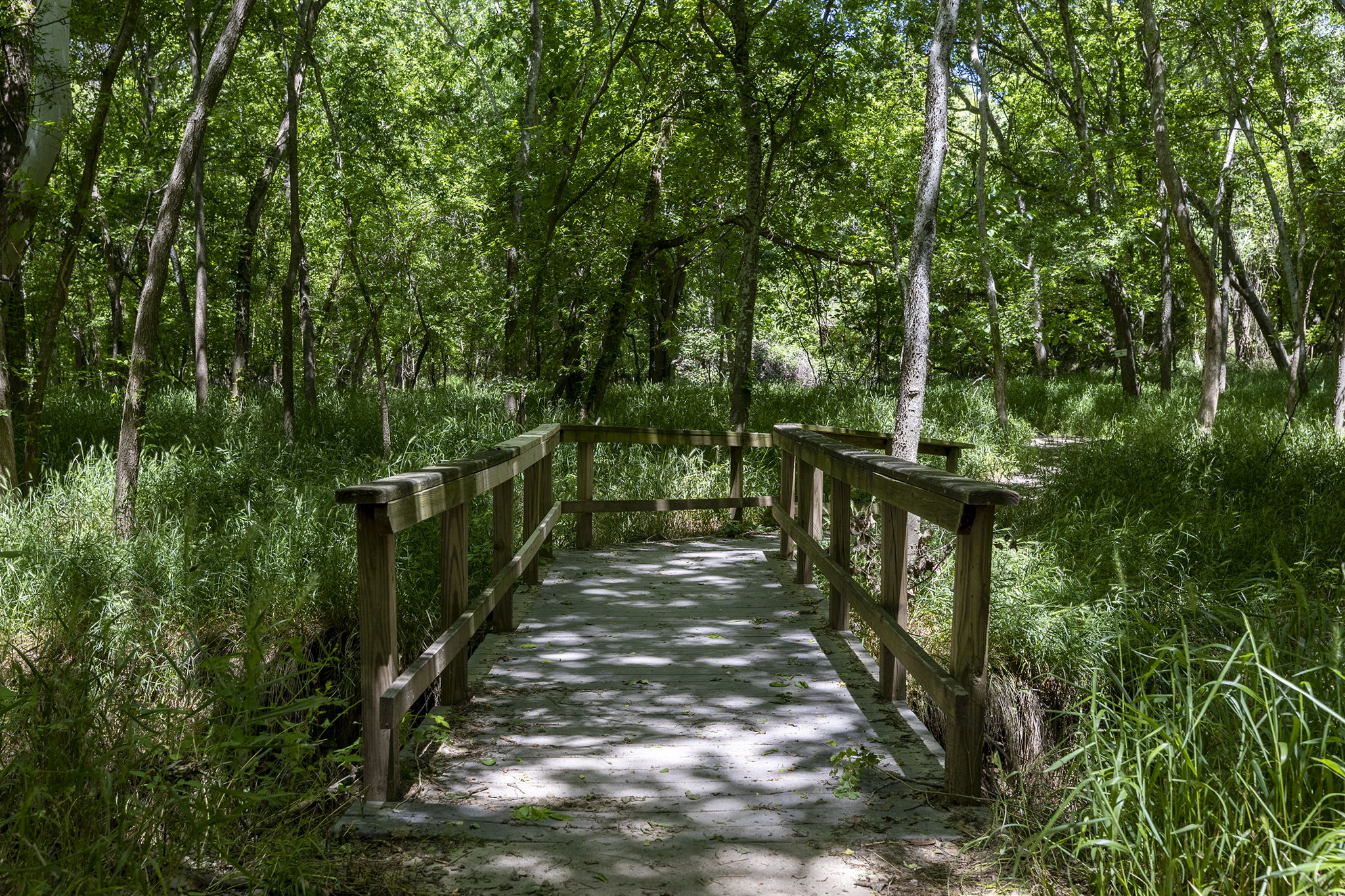 Lot 12 Hickory Ridge Drive Bastrop, TX 78602 - Photo 11 of 24 View of home's community