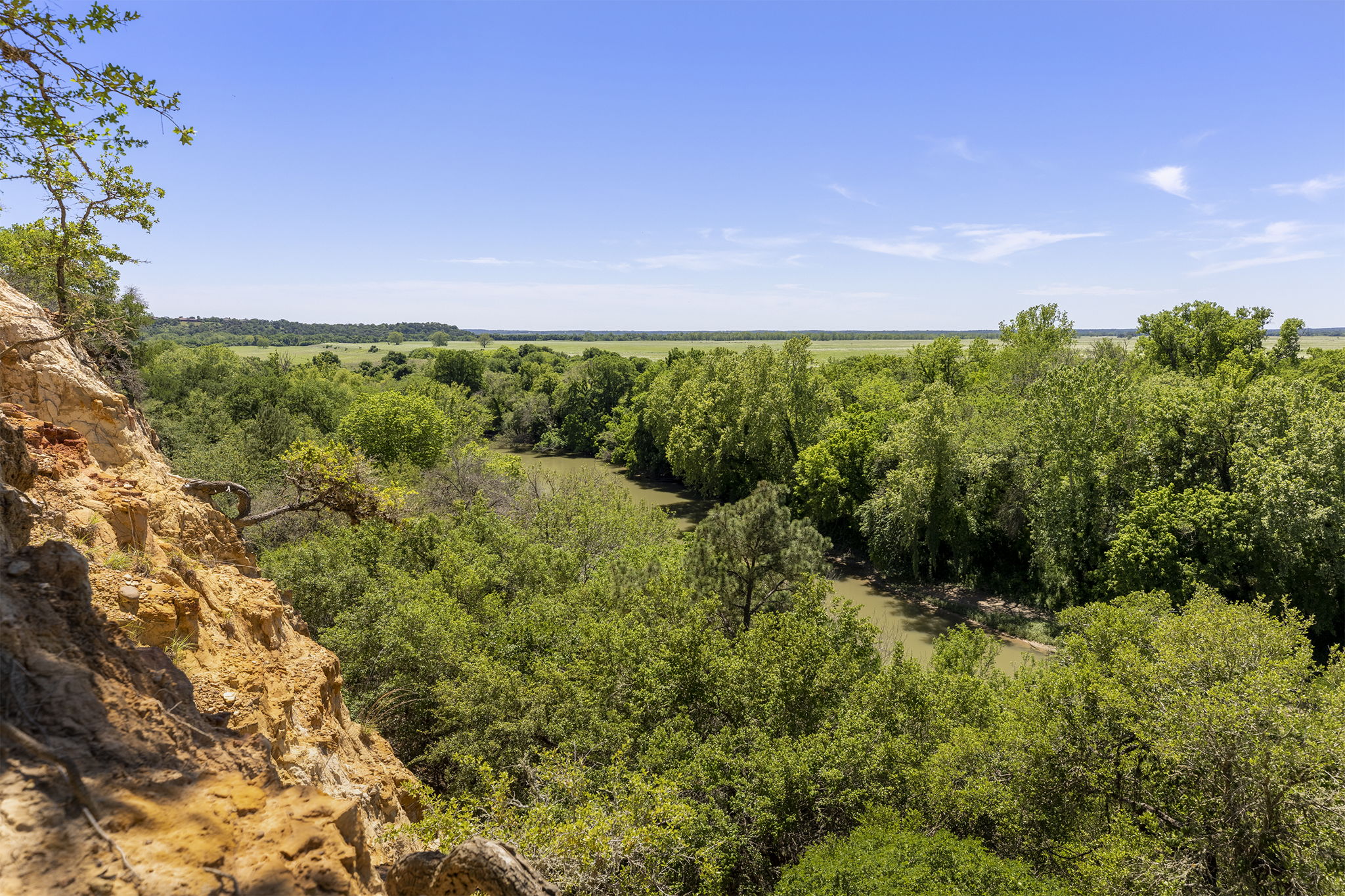 Lot 12 Hickory Ridge Drive Bastrop, TX 78602 - Photo 8 of 24 View of local wilderness