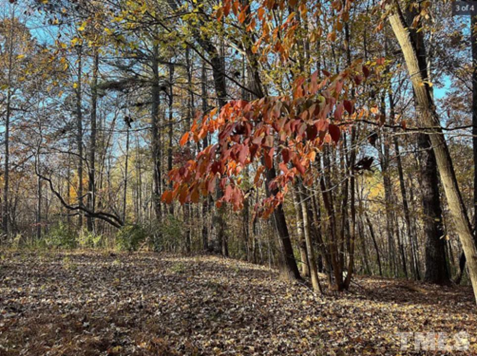 5112 Masota Road Raleigh, NC 27612 - Photo 1 of 11 a backyard of a house with lots of green space