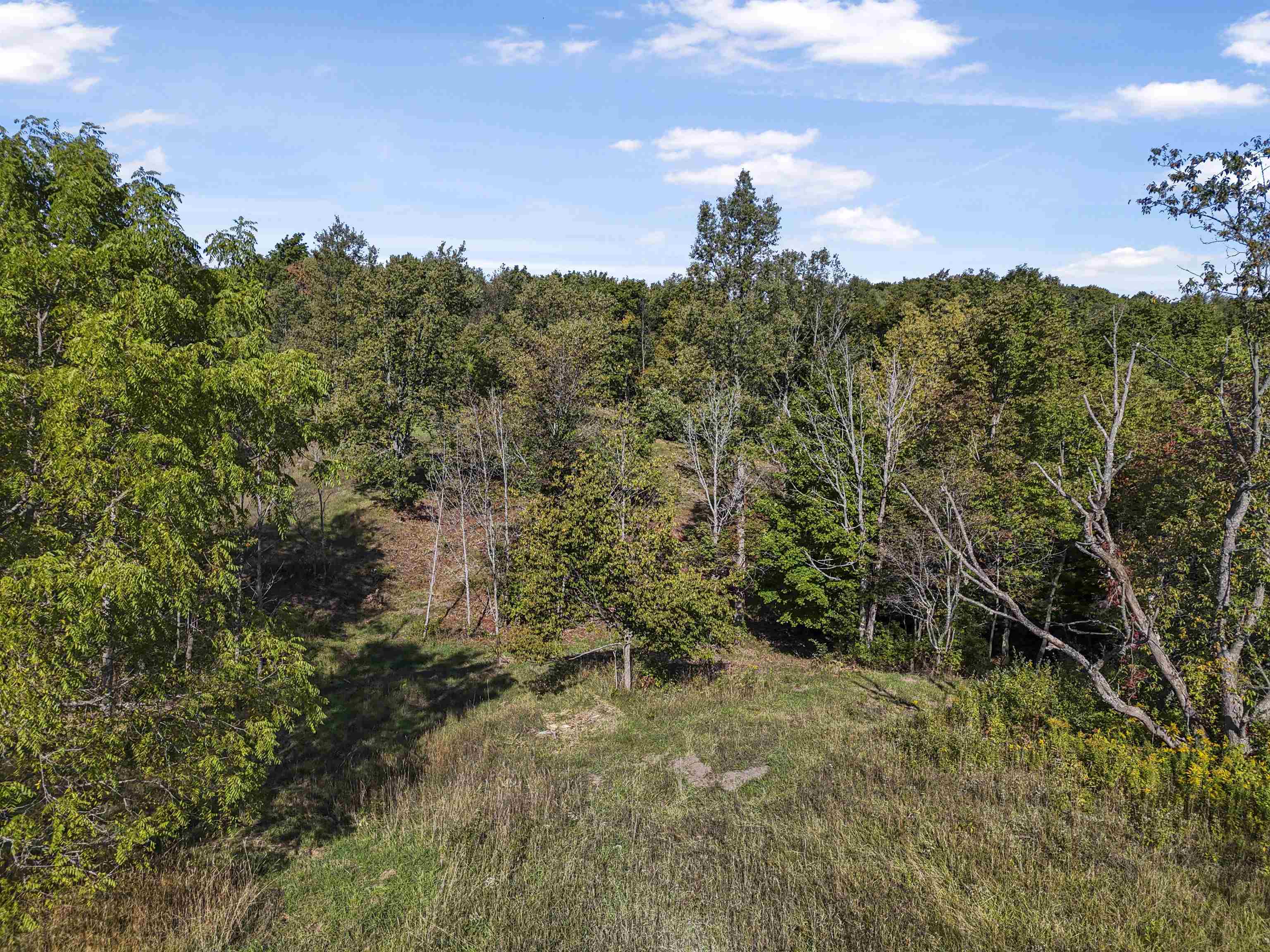 -3 Carlson Road, Unit PARCEL 3 Frankfort, MI 49635 - Photo 7 of 15