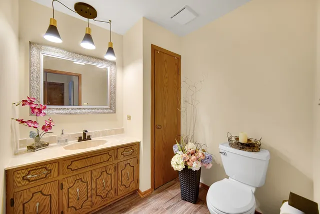 $445,000 | 13226 Farm View Street, Homer Glen, IL 60491