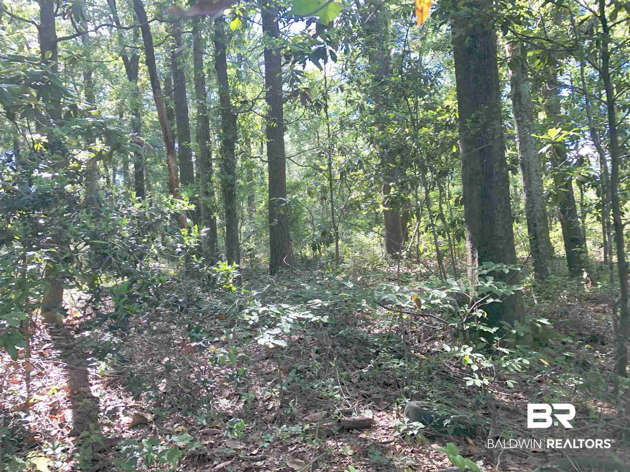 0 La Nain Drive Mobile, AL 36618 - Photo 2 of 4