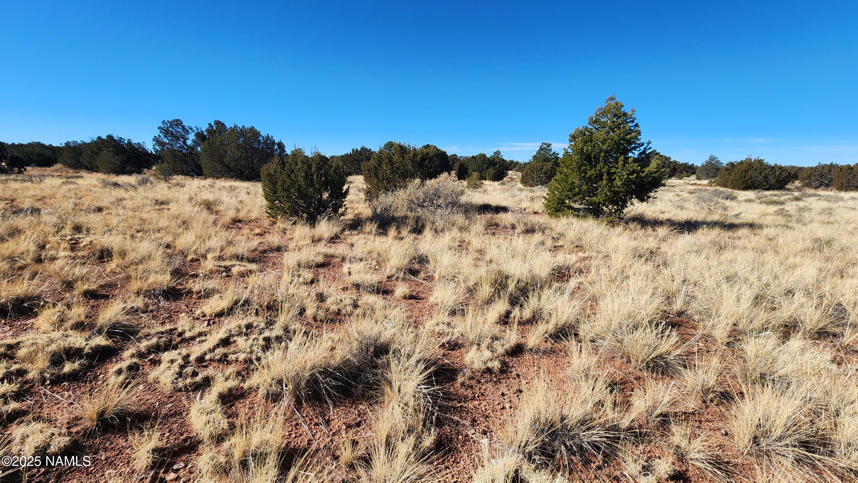 3372 East Valencia Road Williams, AZ 86046 - Photo 26 of 34 1000023807