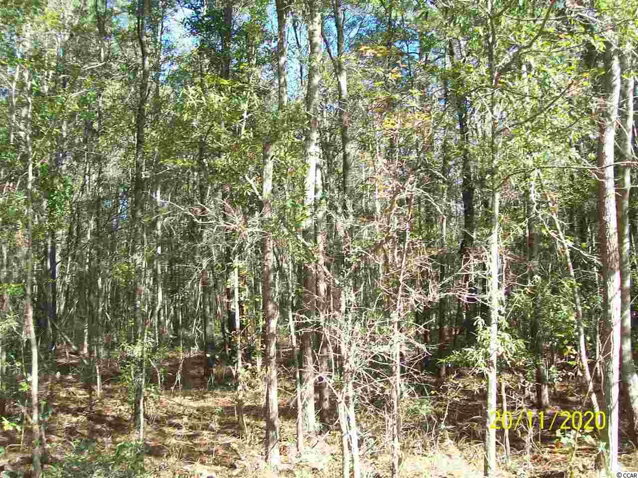 165 County Rd S-22-476 Georgetown, SC 29440 - Photo 1 of 2 Gallery Image 1