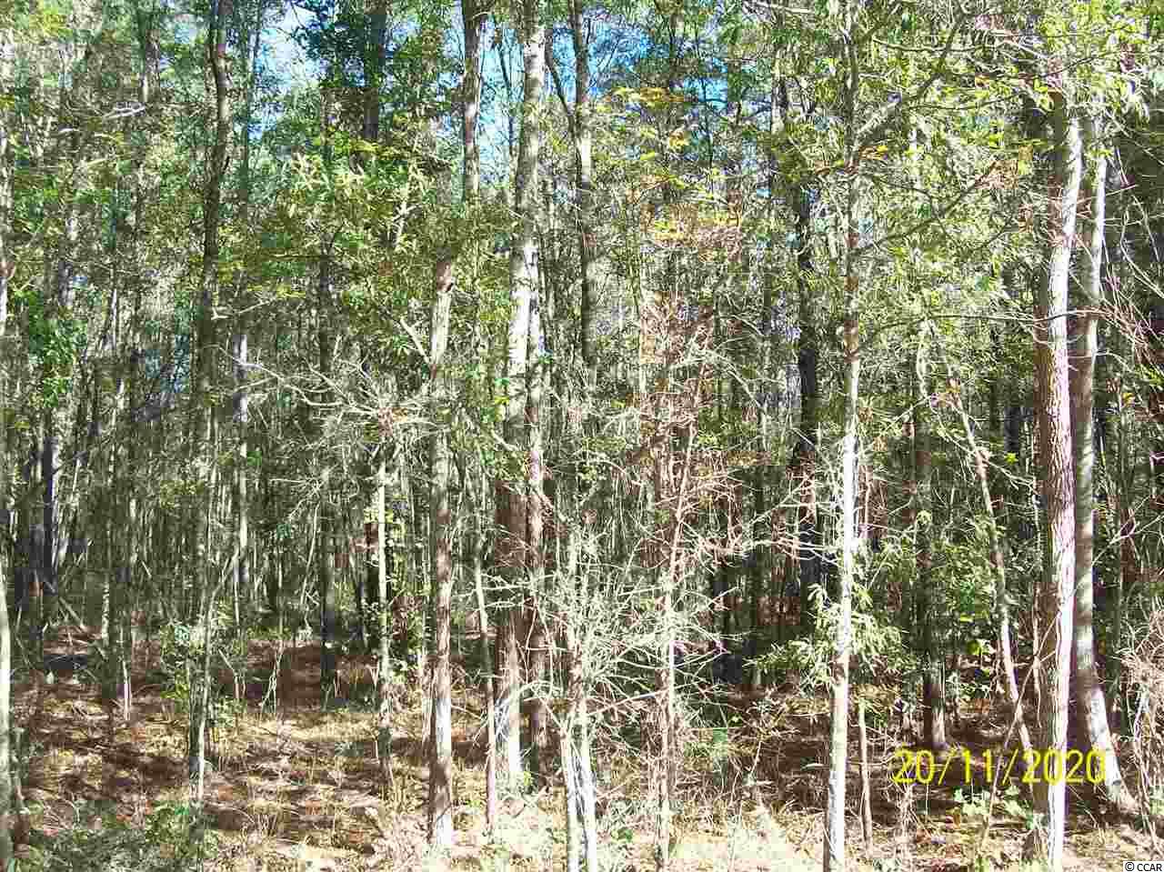 165 County Rd S-22-476 Georgetown, SC 29440 - Photo 2 of 2 Gallery Image 2