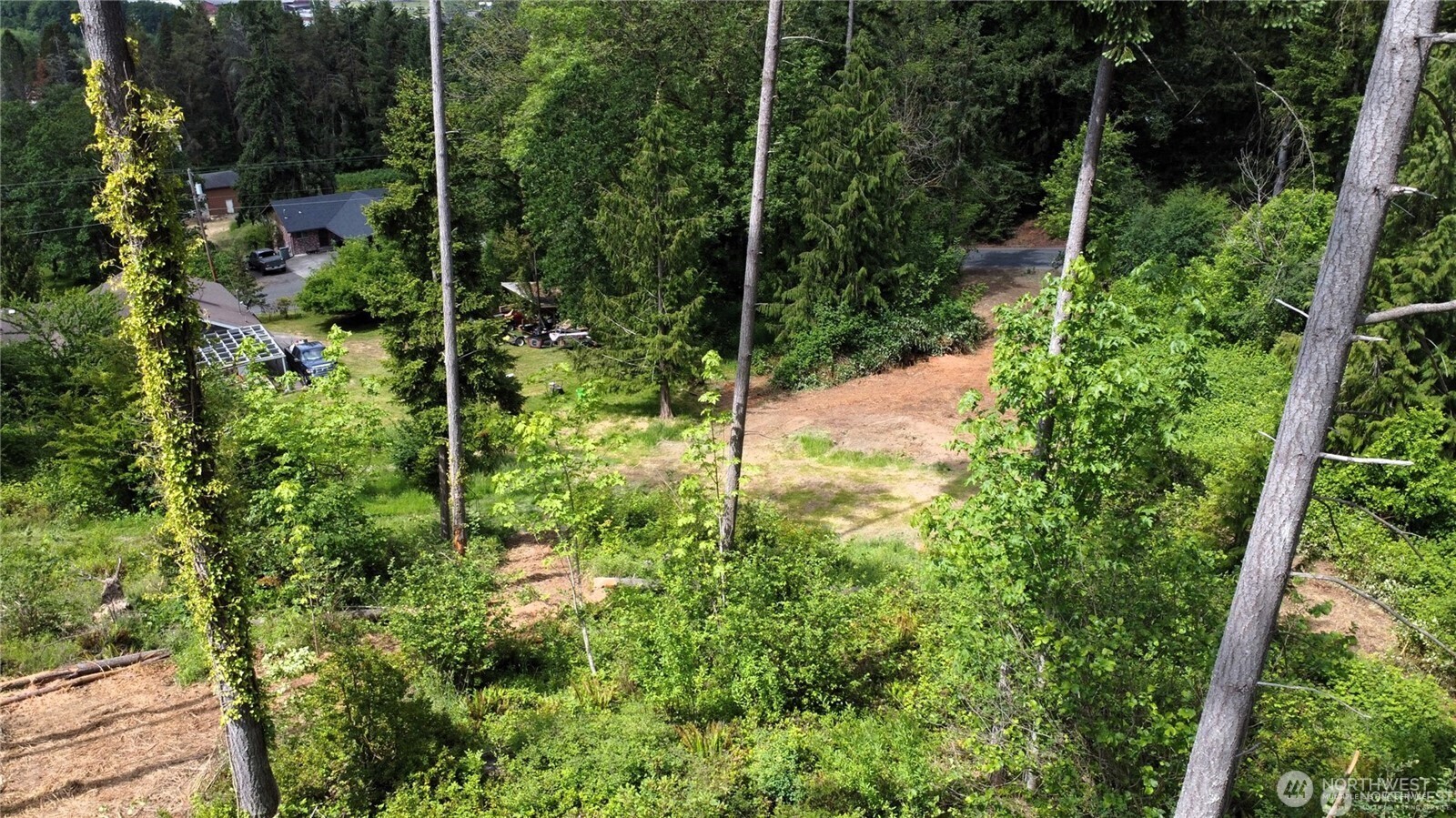 112 Tillicum Drive Chehalis, WA 98532 - Photo 6 of 7 a view of a forest