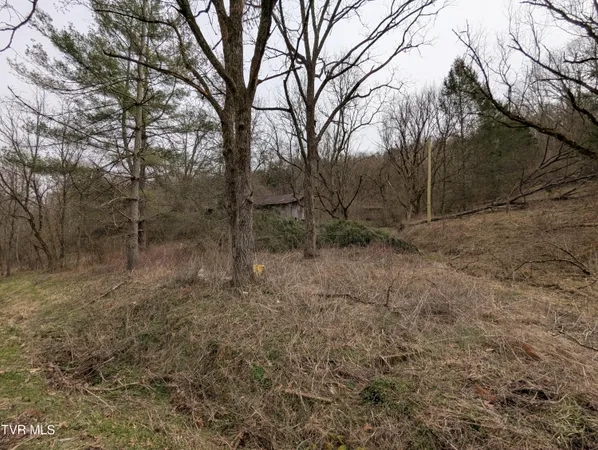 $115,000 | 1674 Shavers Ford Road, Jonesville, VA 24263