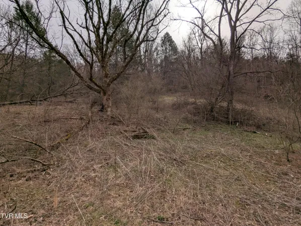 $115,000 | 1674 Shavers Ford Road, Jonesville, VA 24263