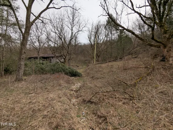 $115,000 | 1674 Shavers Ford Road, Jonesville, VA 24263