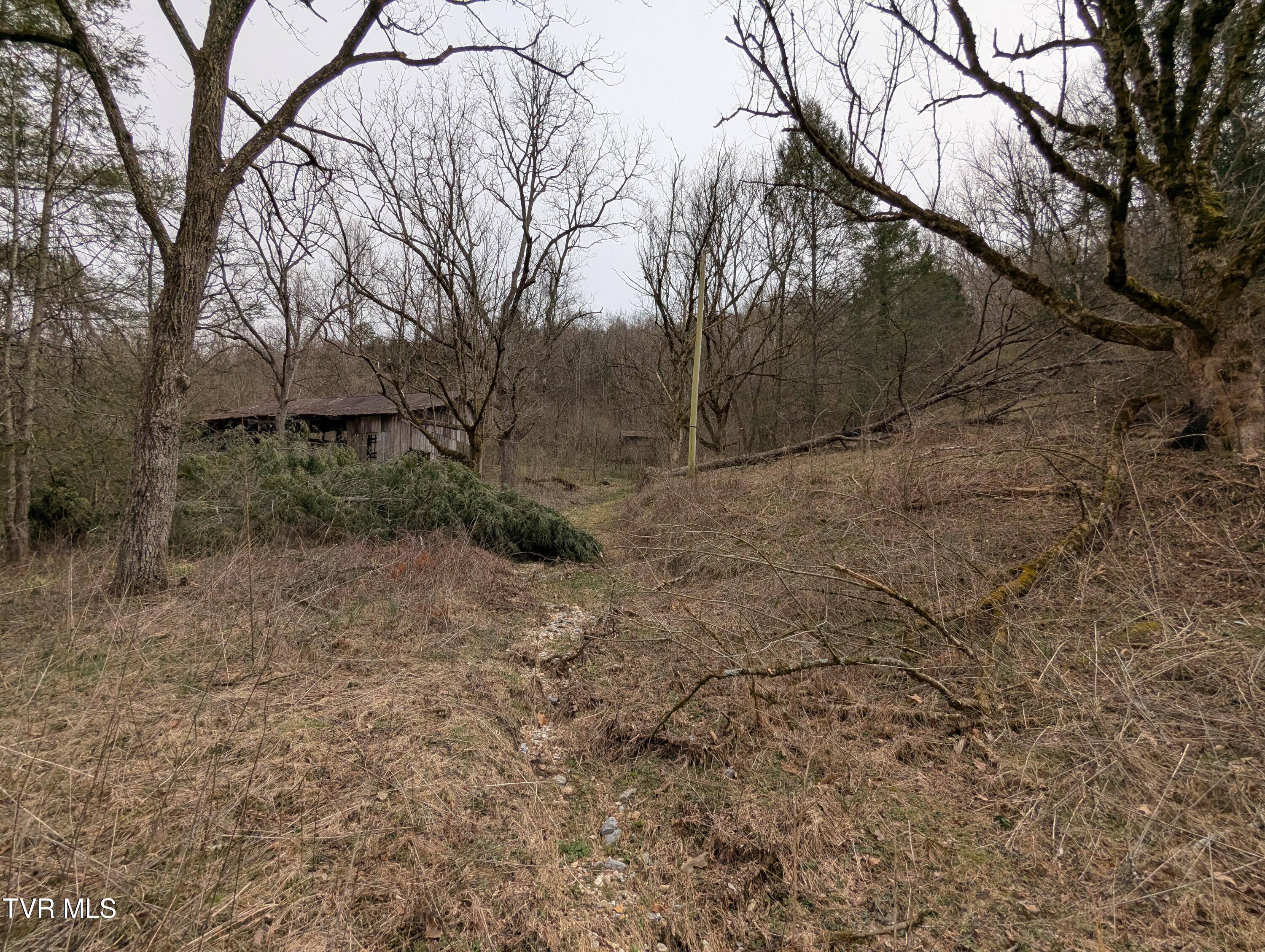 1674 Shavers Ford Road Jonesville, VA 24263 - Photo 3 of 8 2025-03-07 14.58.53