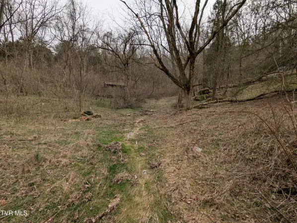 $115,000 | 1674 Shavers Ford Road, Jonesville, VA 24263