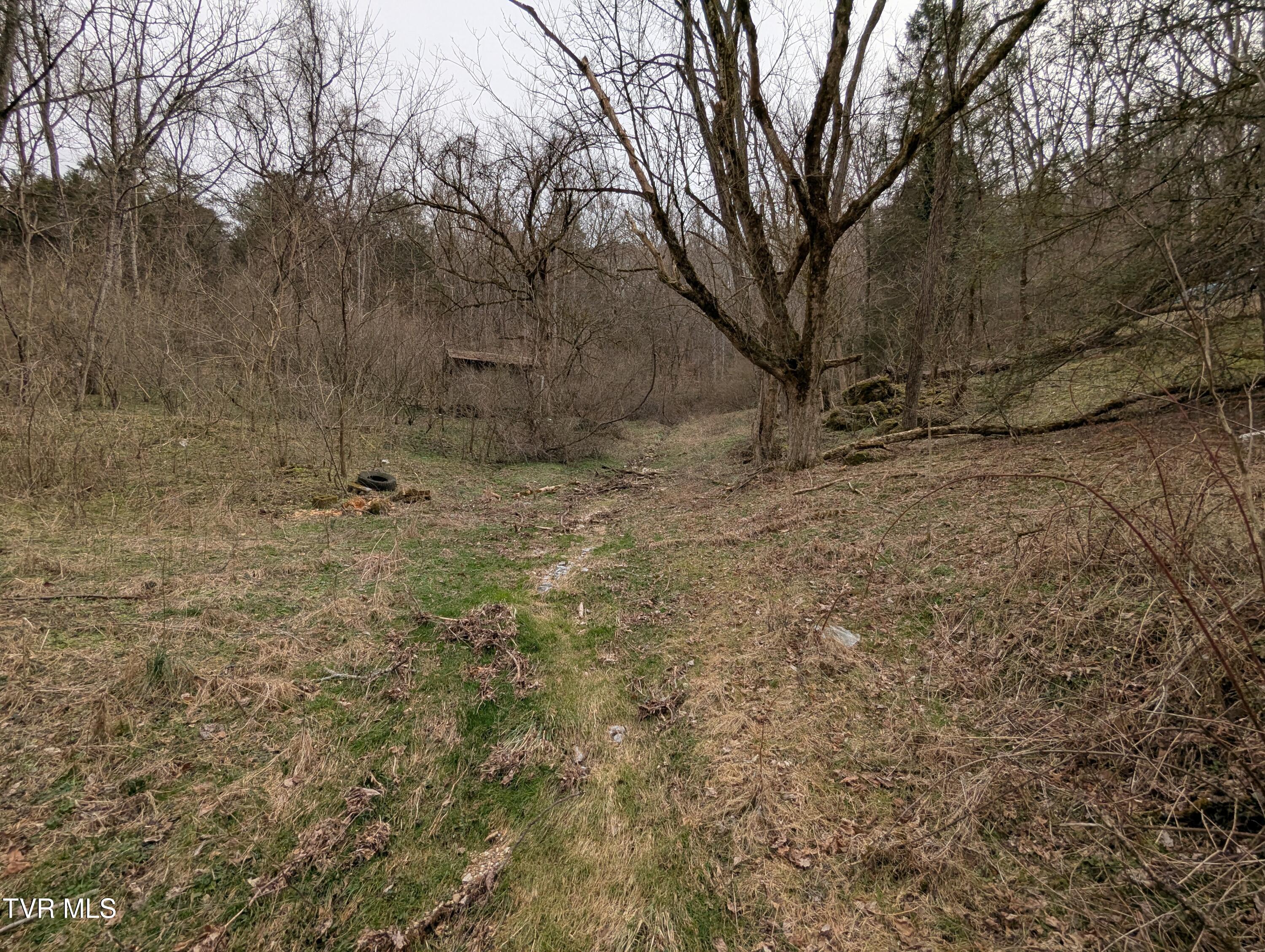 1674 Shavers Ford Road Jonesville, VA 24263 - Photo 5 of 8 2025-03-07 14.59.29