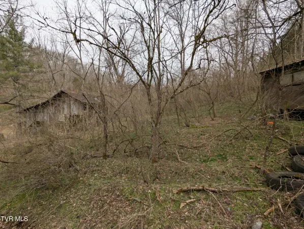 $115,000 | 1674 Shavers Ford Road, Jonesville, VA 24263