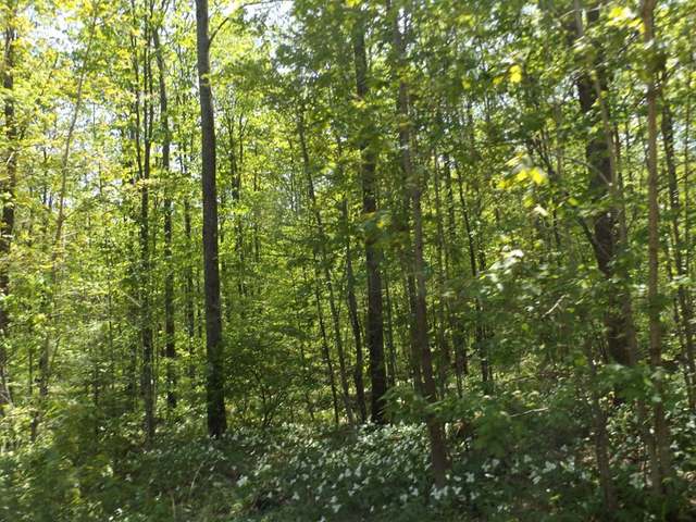29.37-ac Sipple Road Crandon, WI 54520 - Photo 17 of 20 Gallery Image 17