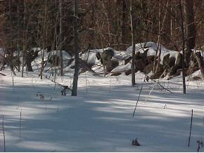0 Talbert Hill Road Canaan, NH 03741 - Photo 3 of 4