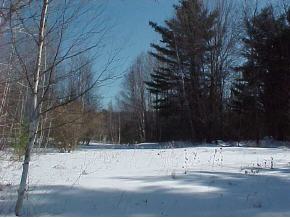 0 Talbert Hill Road Canaan, NH 03741 - Photo 4 of 4