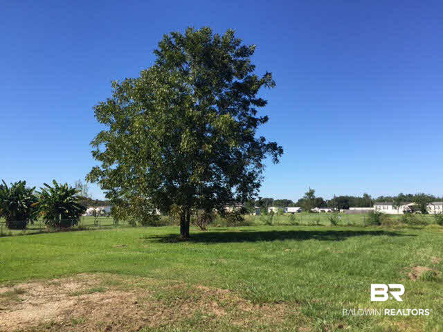7230 Kenny Lundy Road Theodore, AL 36582 - Photo 18 of 20
