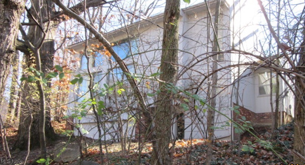 4384 Bayard Road South Euclid, OH 44121 - Photo 8 of 9