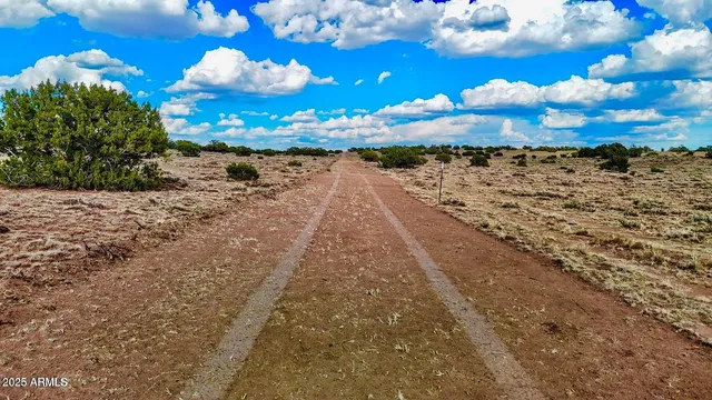 a view of a yard with an outdoor space