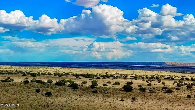 a view of beach and ocean
