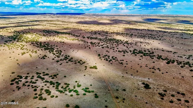 a view of a dry yard