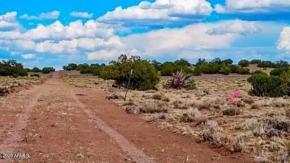 a view of a sky from a yard