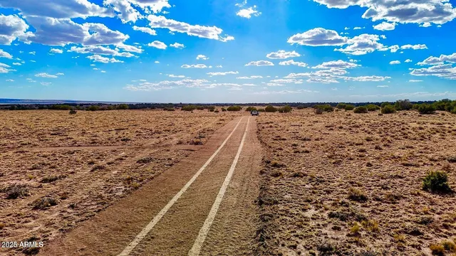 a view of a room with a tree