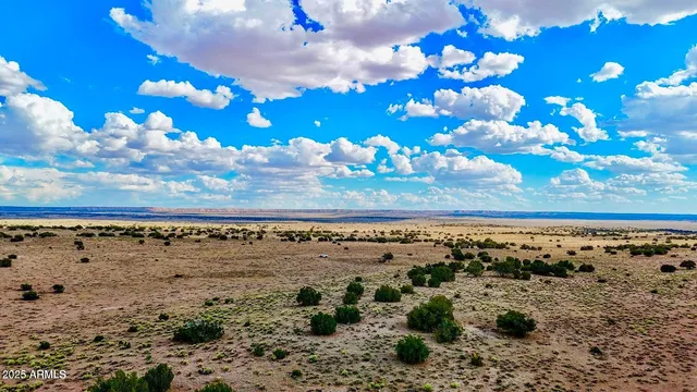 a view of a bunch of flowers