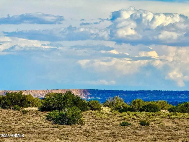 $99,900 | 127.5 Acres, Chambers, AZ 86502