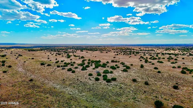 $99,900 | 127.5 Acres, Chambers, AZ 86502