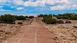 a view of a dry yard covered with snow