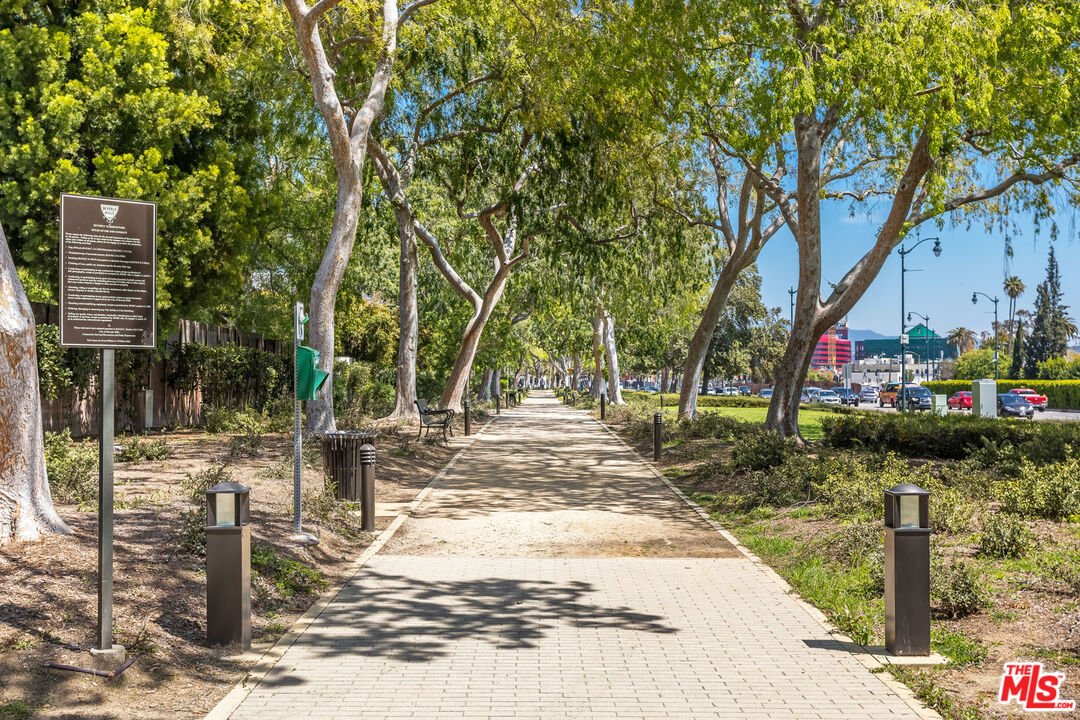 604 Alta Drive Beverly Hills, CA 90210 - Photo 20 of 21 a view of a park with tree s