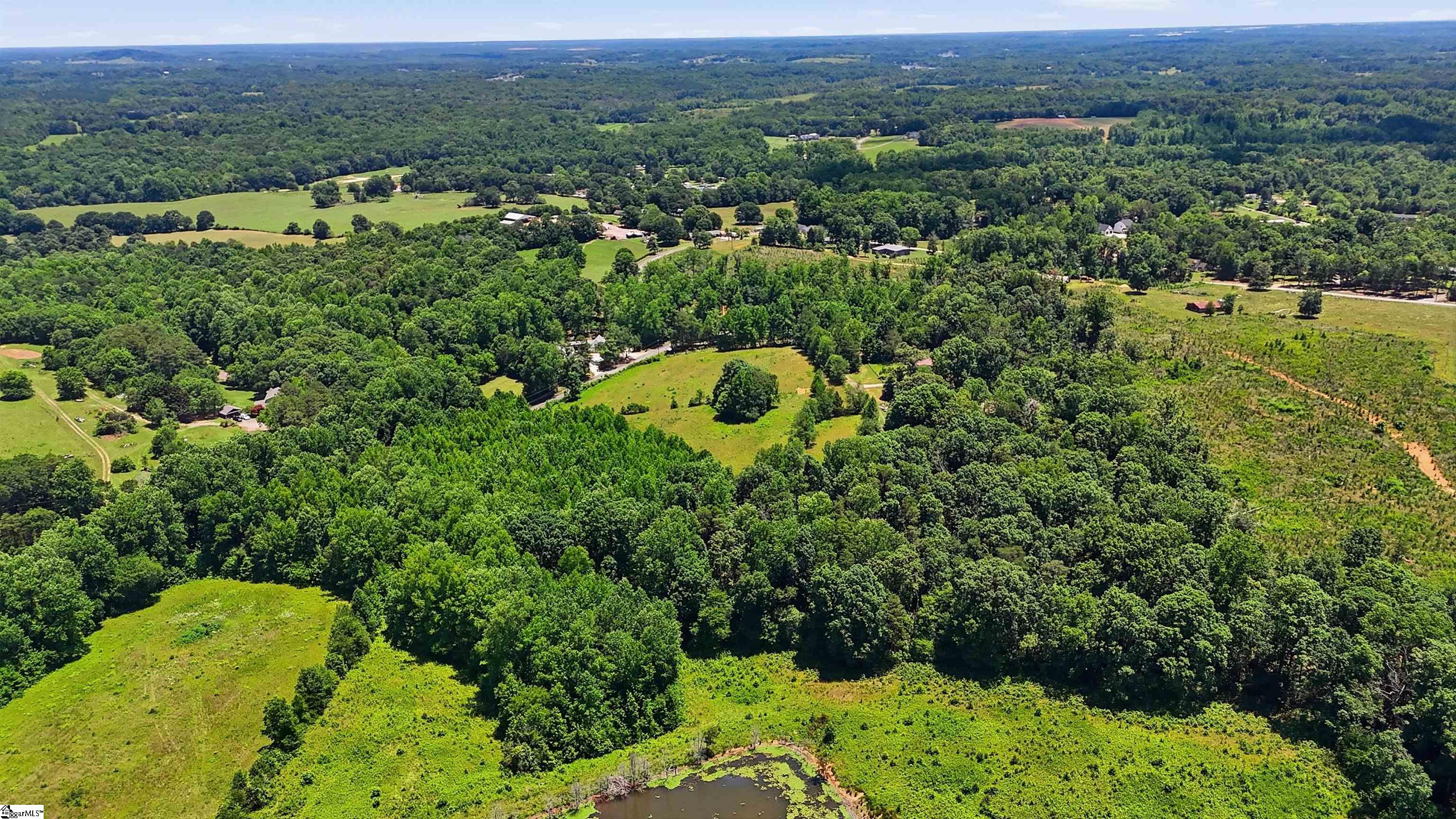 4453 Jug Factory Road Greer, SC 29651 - Photo 10 of 13