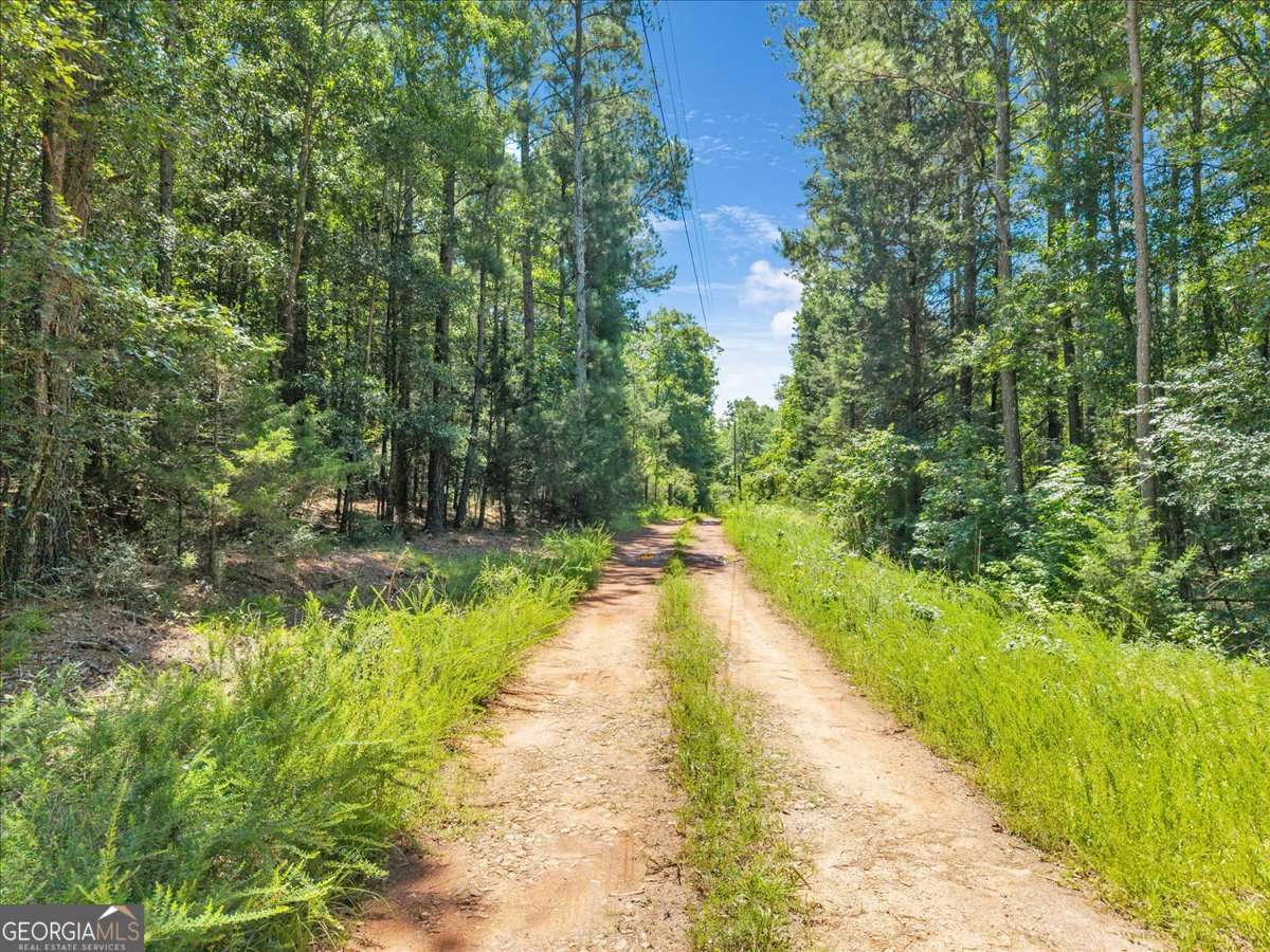 336 Piney Grove Road Comer, GA 30629 - Photo 9 of 20