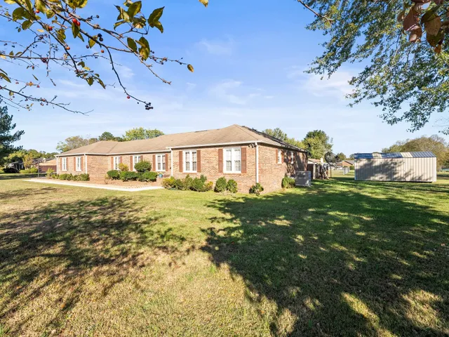 a view of a big yard with potted plants and large trees