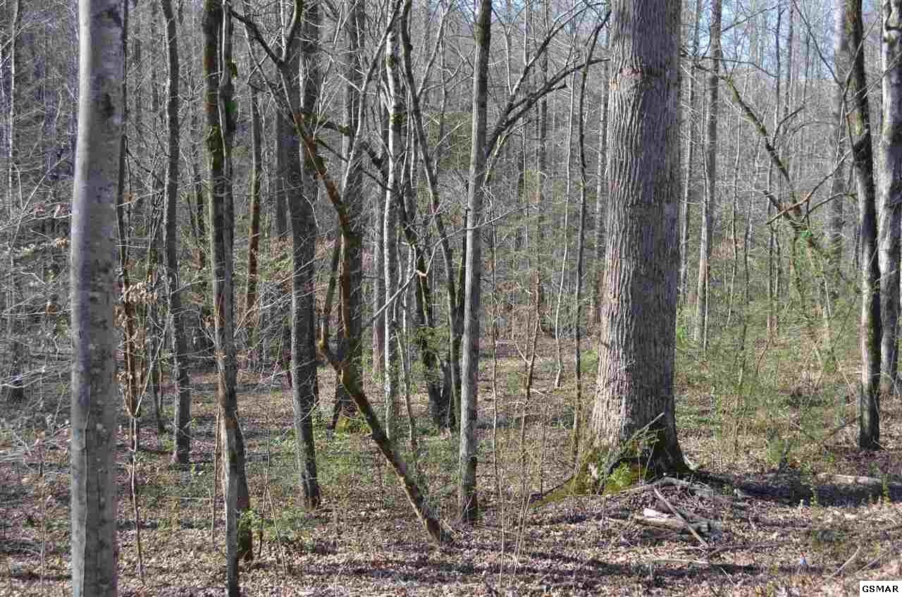 0 Tom Henry Road Townsend, TN 37882 - Photo 2 of 5 Gallery Image 2